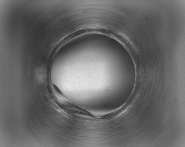 X0000070241065200606091329