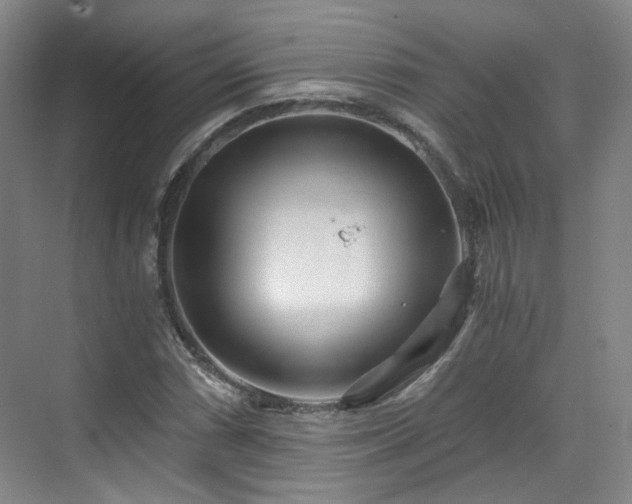 X0000070241066200606091329