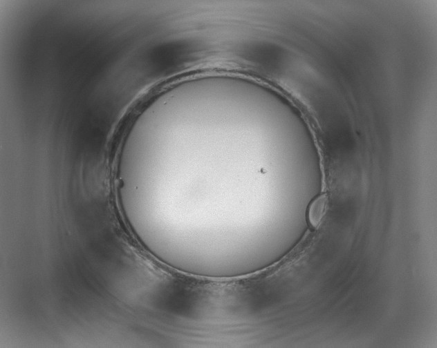 X0000070241067200606091329