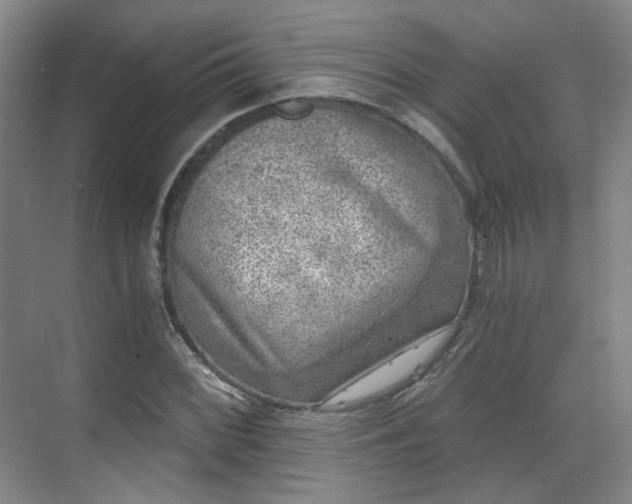 X0000070241068200606091329