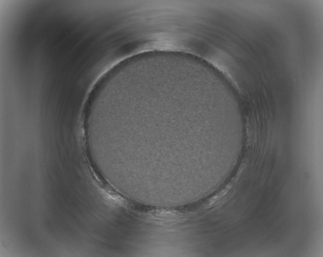 X0000070241070200606091329