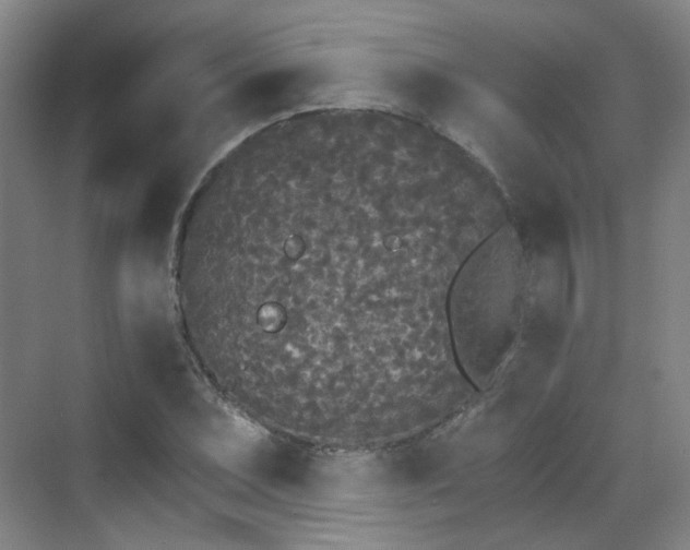 X0000070241071200606091329