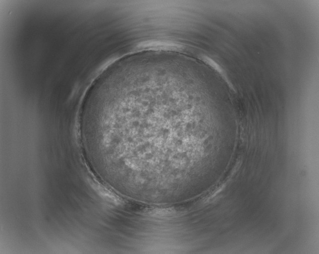 X0000070241074200606091329