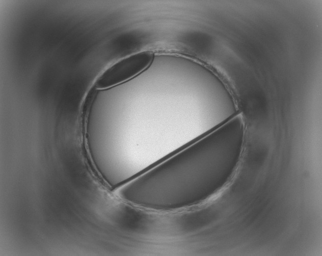 X0000070241075200606091329