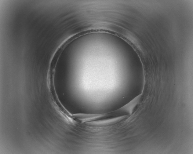 X0000070241076200606091329