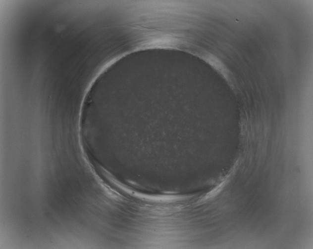 X0000070241077200606091329