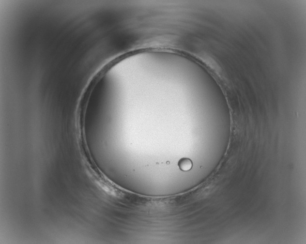 X0000070241078200606091329