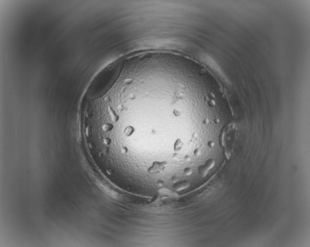 X0000070241079200606091329