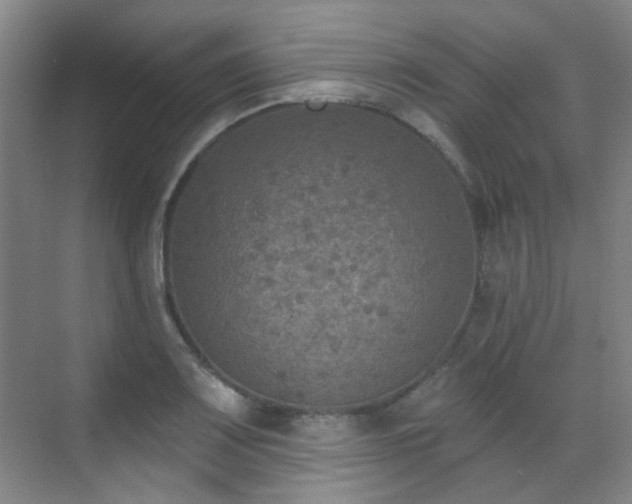 X0000070241083200606091328