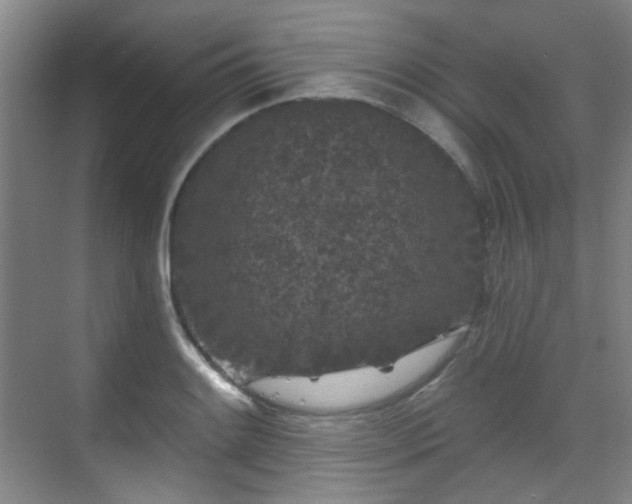 X0000070241084200606091328