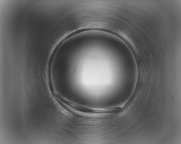 X0000070241085200606091328