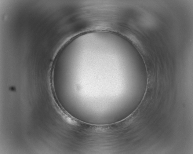 X0000070241086200606091328