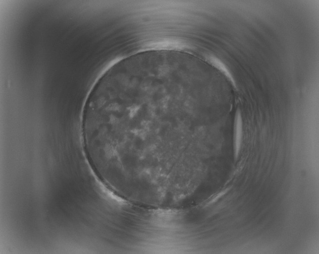 X0000070241087200606091328