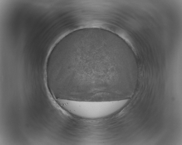 X0000070241088200606091328