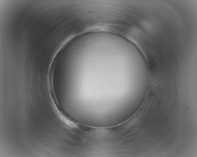 X0000070241090200606091328