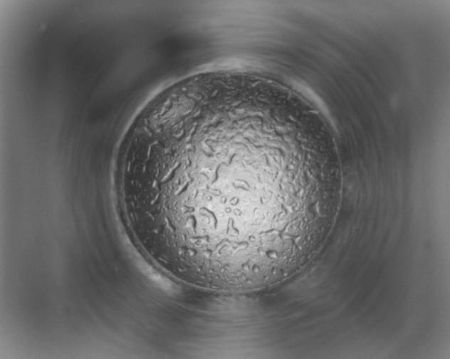 X0000070241091200606091328