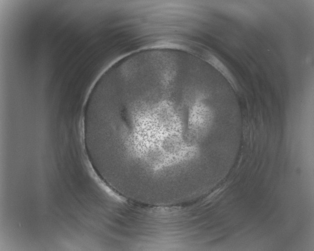 X0000070241092200606091328