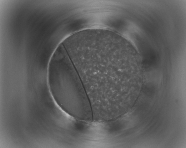 X0000070241095200606091328