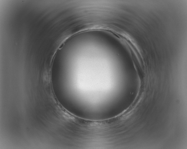 X0000070241097200606091328