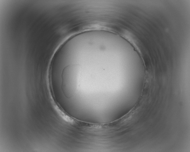 X0000070241098200606091328