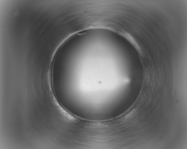 X0000070241100200606091328