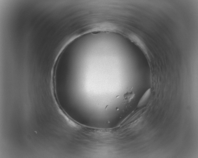 X0000070241103200606091328