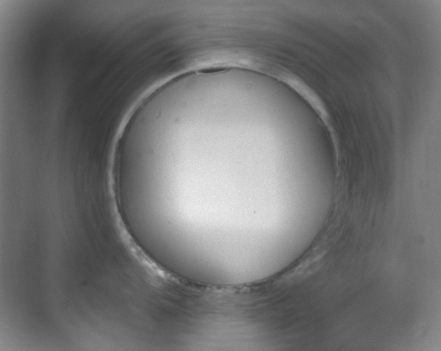 X0000070241104200606091328