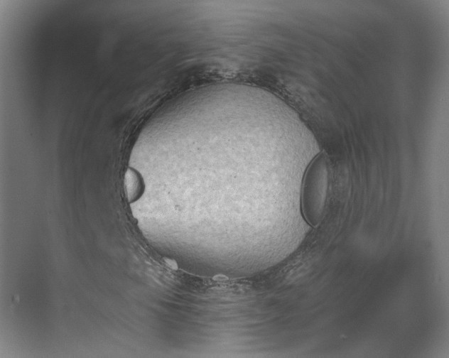 X0000070241105200606091327