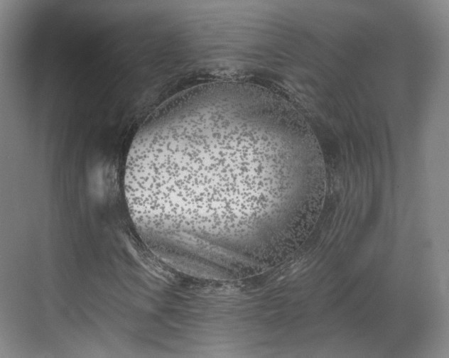 X0000070241106200606091327