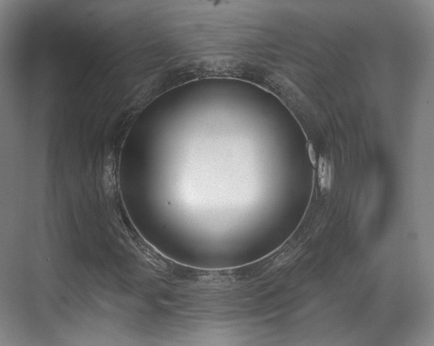 X0000070241107200606091327