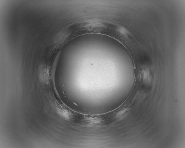 X0000070241108200606091327