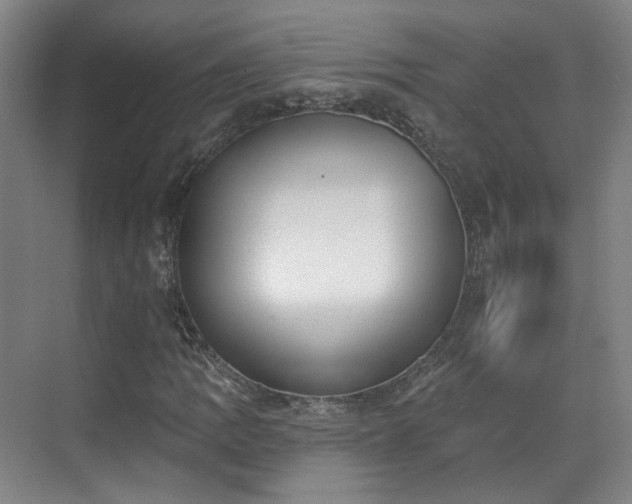 X0000070241109200606091327