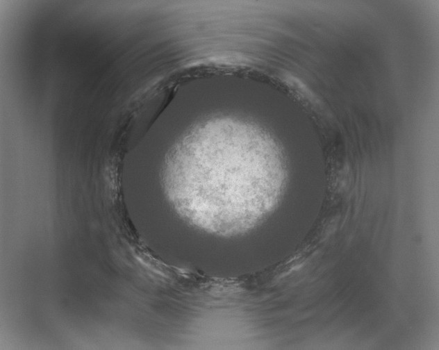 X0000070241110200606091327