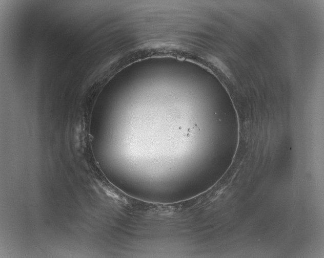 X0000070241111200606091327