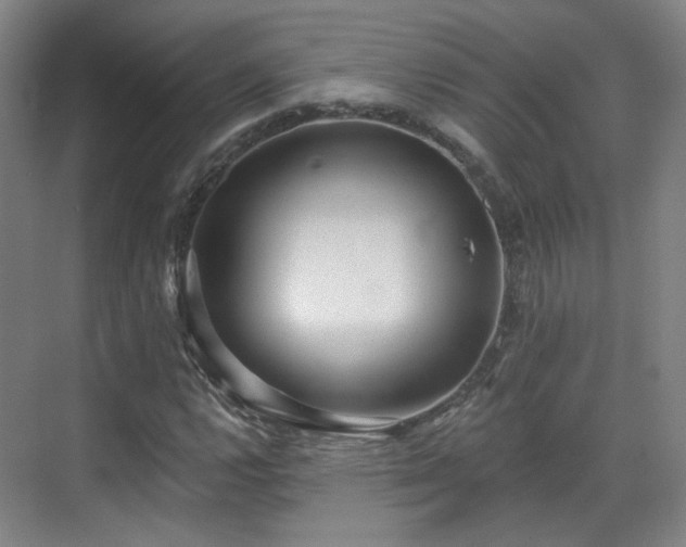 X0000070241112200606091327