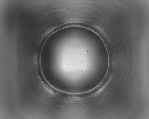 X0000070241113200606091327