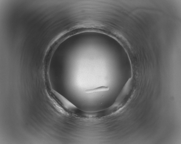 X0000070241114200606091327