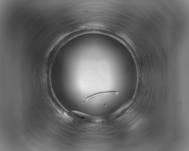 X0000070241115200606091327