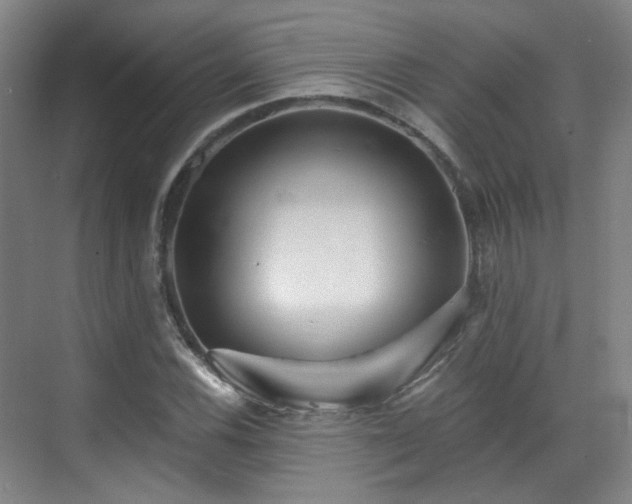 X0000070241116200606091327