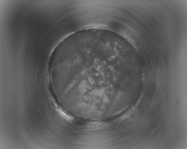 X0000070241117200606091327