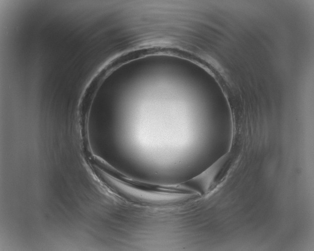 X0000070241118200606091328