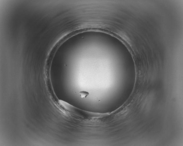 X0000070241119200606091328