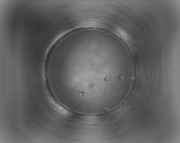 X0000070241120200606091328