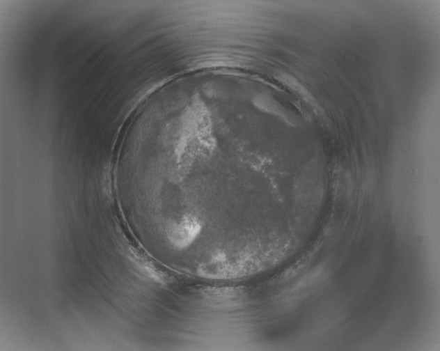 X0000070241121200606091328