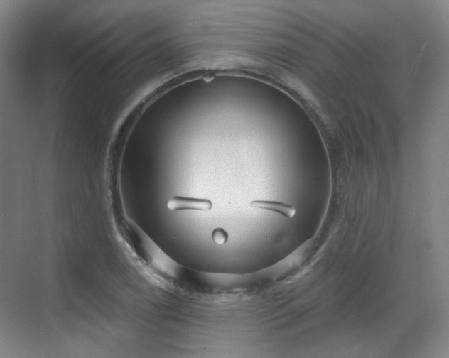 X0000070241122200606091328