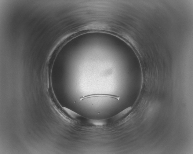 X0000070241123200606091328