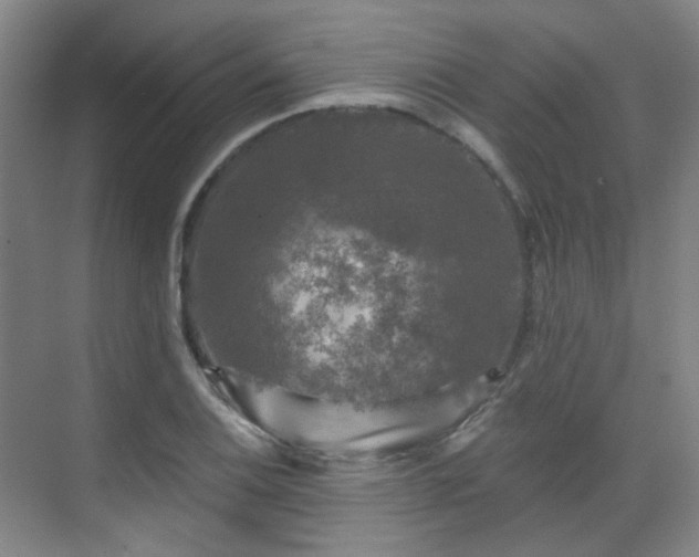 X0000070241124200606091328