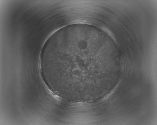 X0000070241125200606091328