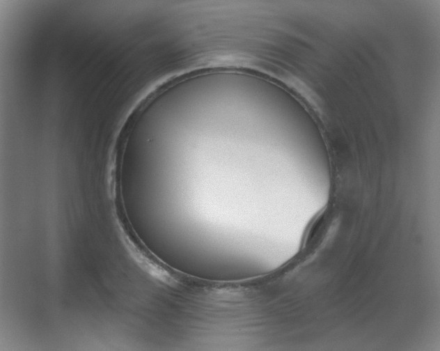 X0000070241126200606091328