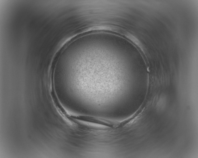 X0000070241127200606091328